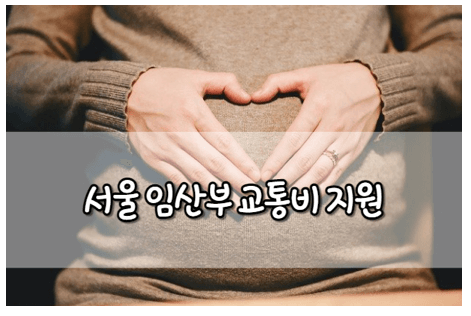 서울 임산부 교통비 지원