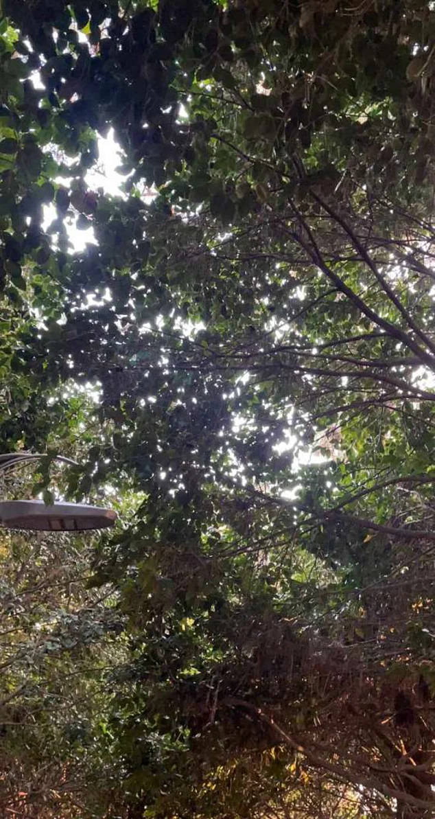 고운최치원선생동상