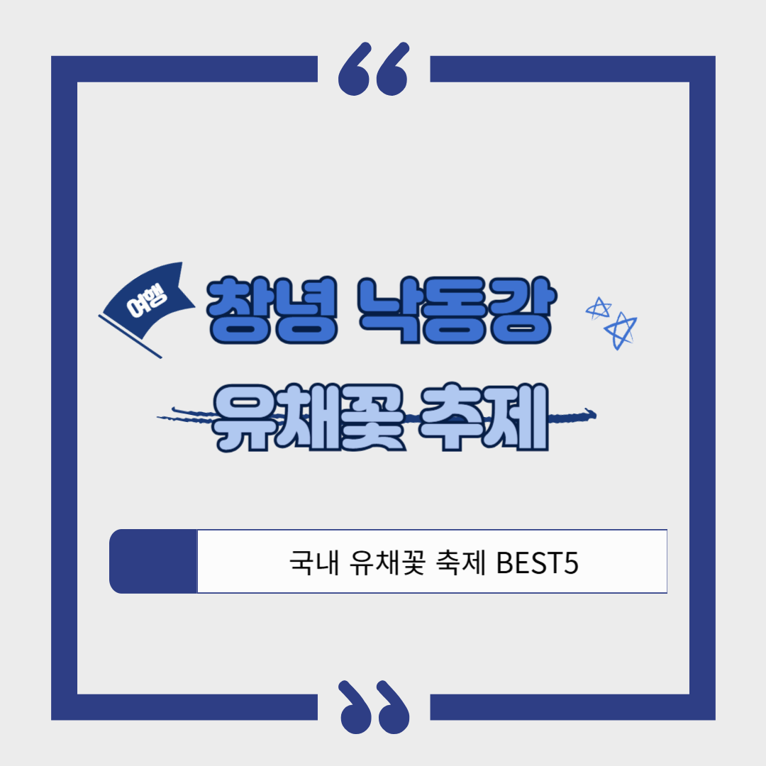 창녕 낙동강 유채꽃축제 ❘ 국내 최대 유채꽃밭! 일정, 명소, 즐길 거리, 꿀팁 총정리