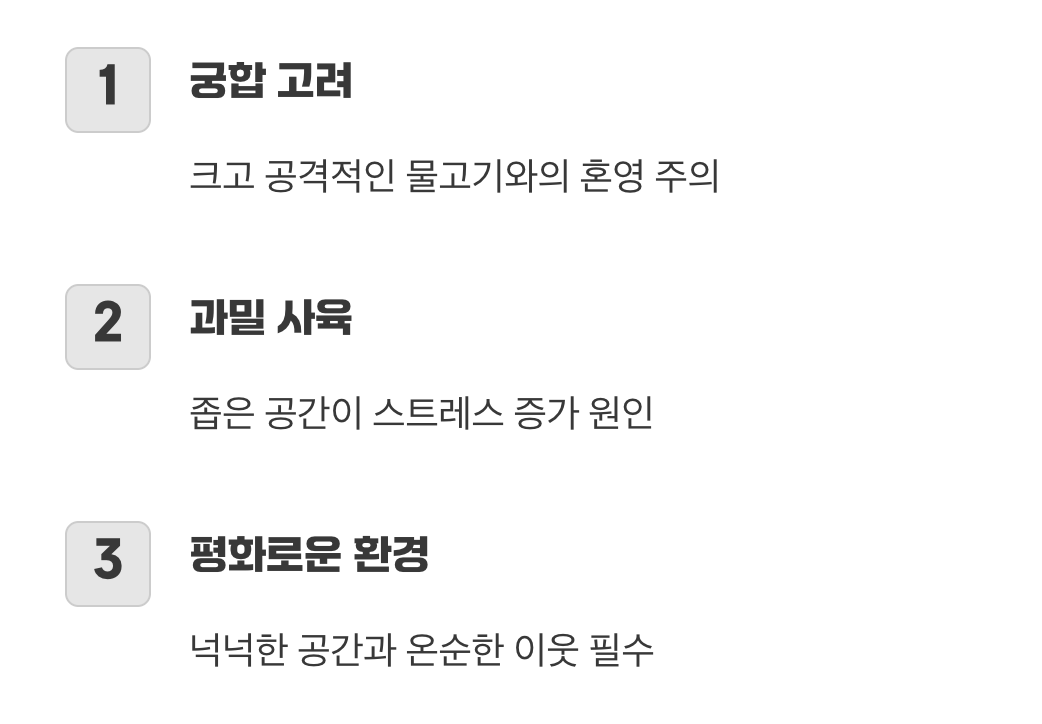 새로운 이웃, 혹은 깡패의 등장