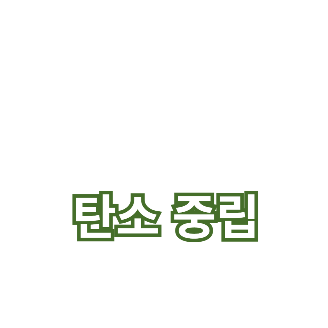 탄소 중립을 위한 기후 변화 대응 전략