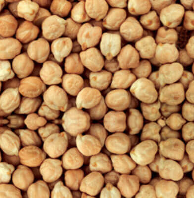 여성-건강에-좋음