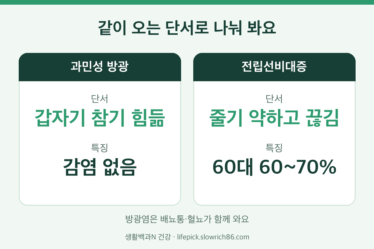 소변이 자주 마려운 증상 과민성 방광 전립선비대증 비교