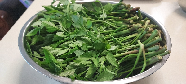 바구니에 담긴 미나리