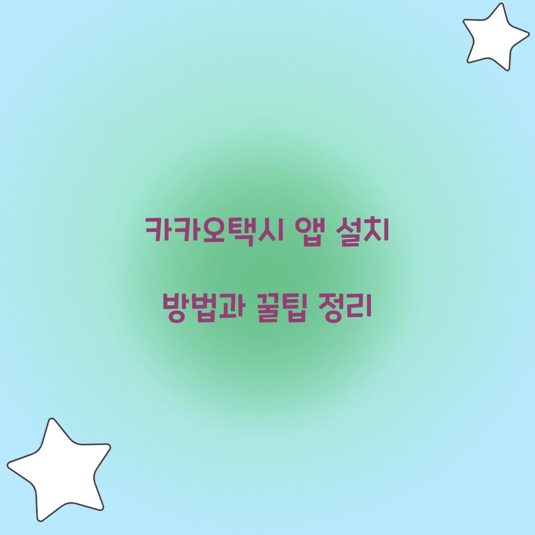 카카오택시 앱 설치