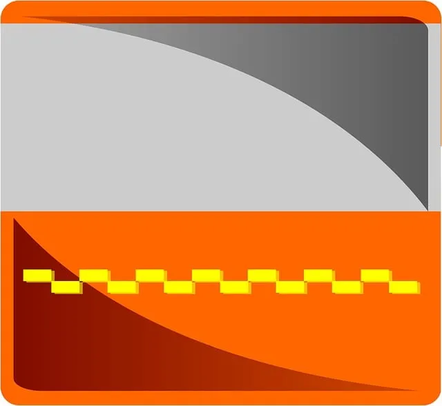 전자 신분증 발급