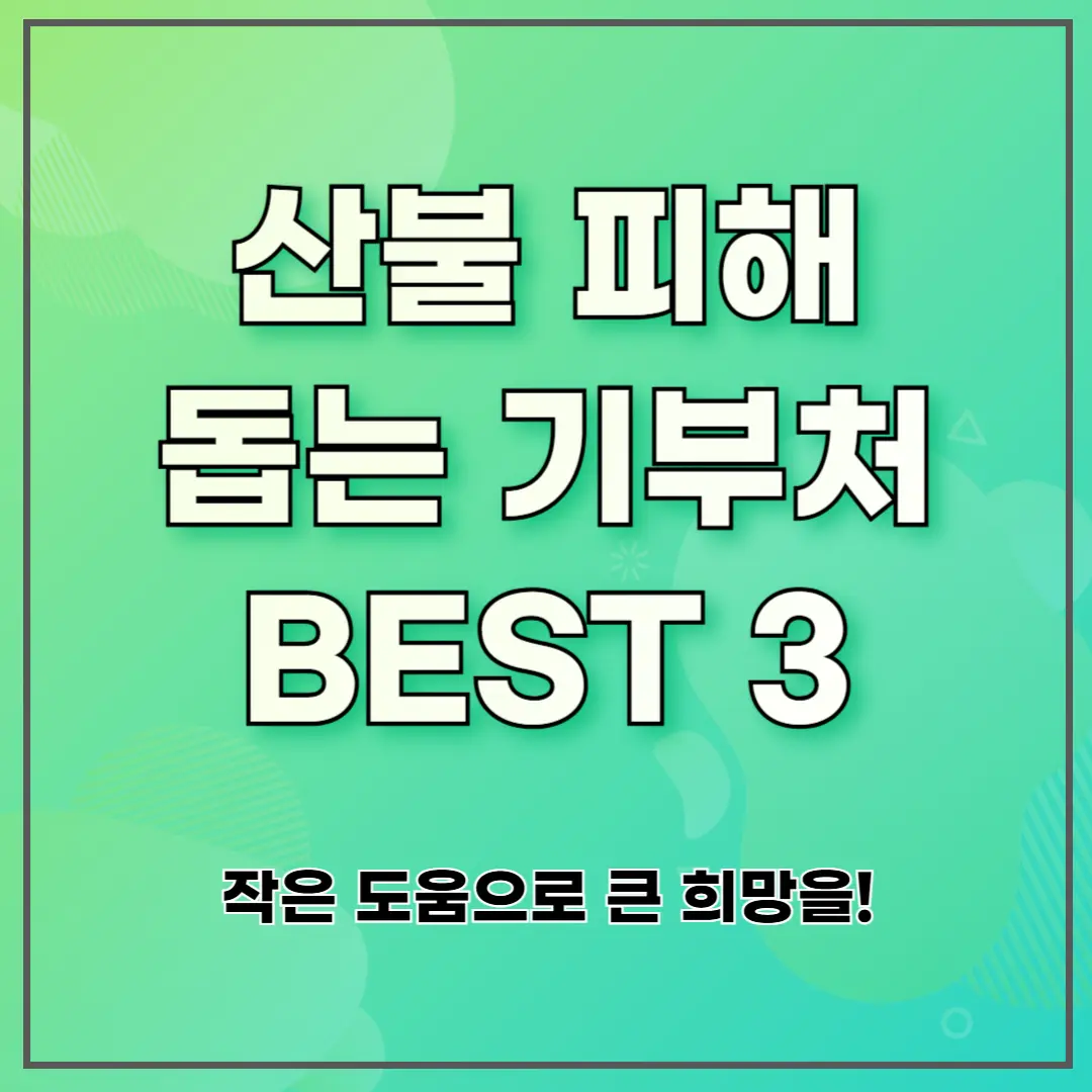 산불 피해 돕는 기부처 BEST 3|작은 도움으로 큰 희망을!