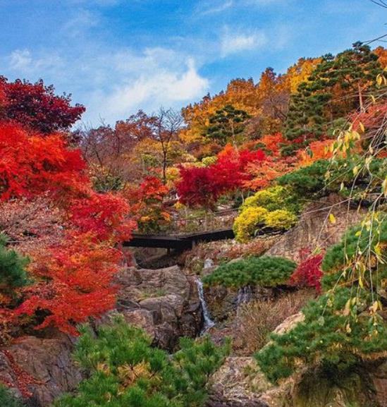 화담숲-단풍