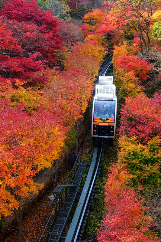 화담숲 입장료 할인 받는 법부터 예매 꿀팁까지는 총정리_6