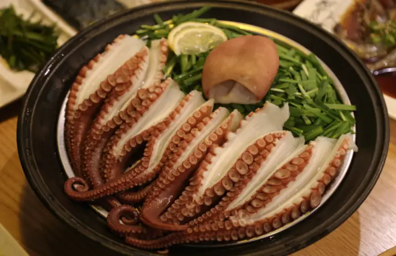 문어천하-피문어