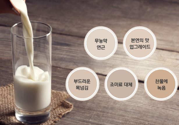 농부삼남매 연근가루