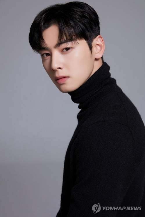 차은우 130억 추징금 폭탄 터진 진짜 이유, 경기 강화도 1인 기획사 편법 감면 논란과 국세청 세무조사 핵심 총정리