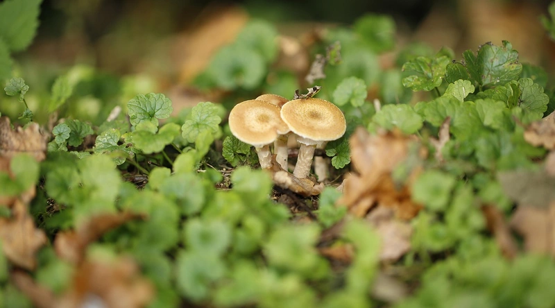 공장 바닥 보수공사의 중요성