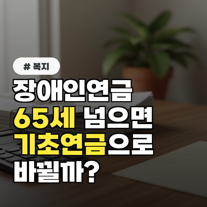 장애인연금, 65세 넘으면 기초연금으로 바뀔까