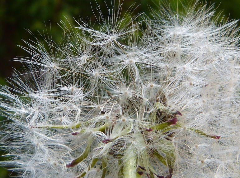 알레르기 관련 이미지