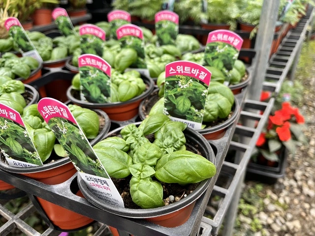 조인폴리아-쇼핑-센터