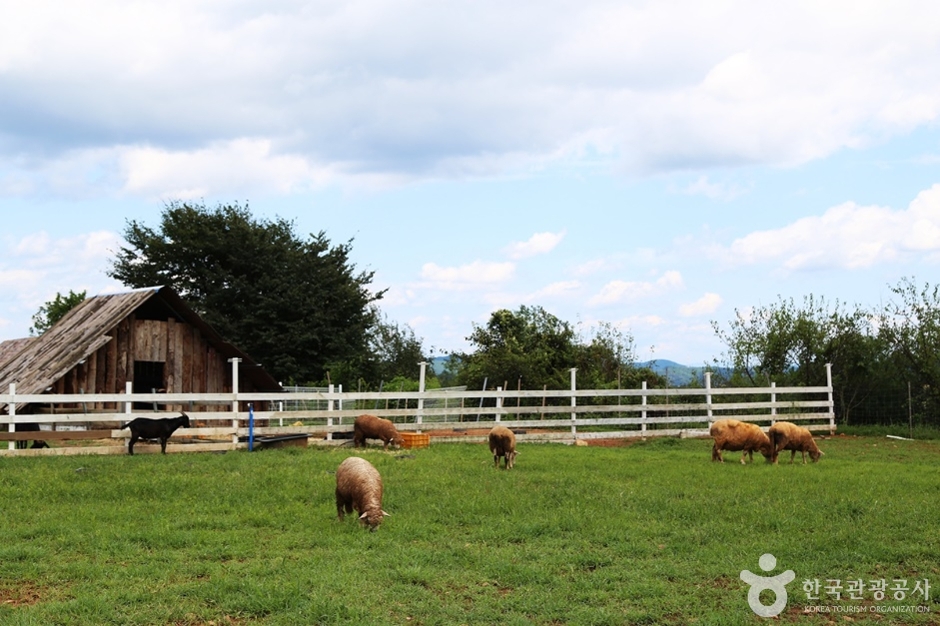 하동 가볼만한곳 베스트10