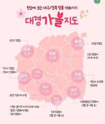 벚꽃 개화시기 2025 만개시기 히든스팟_21