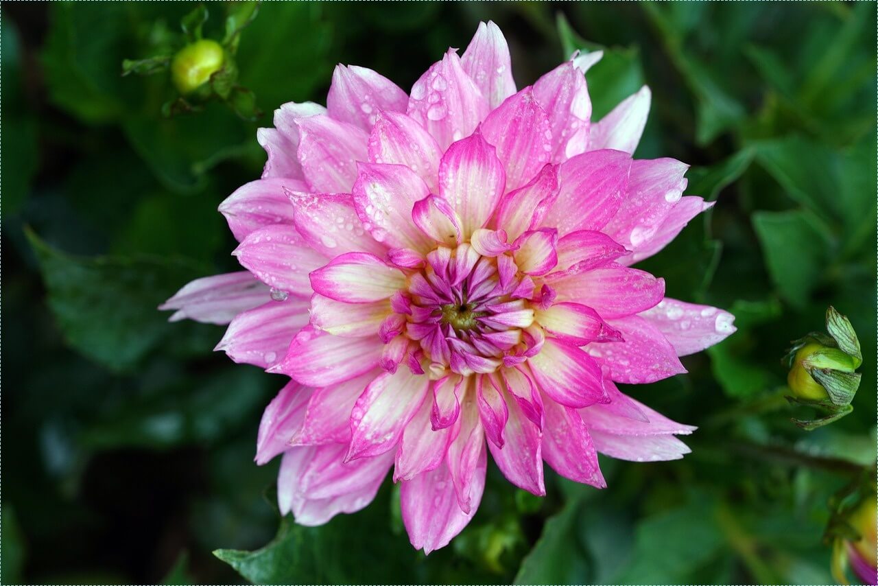 적금 이율 높은 은행