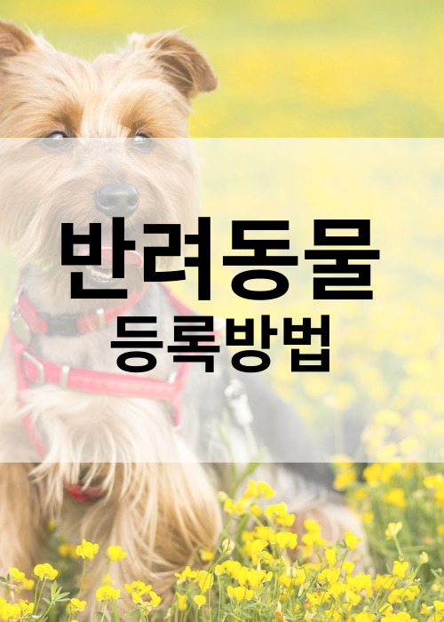 반려견동물등록제