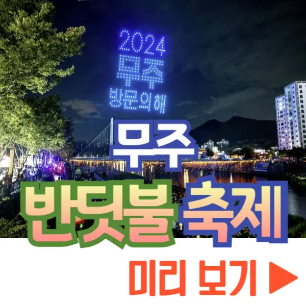무주 반딧불 축제