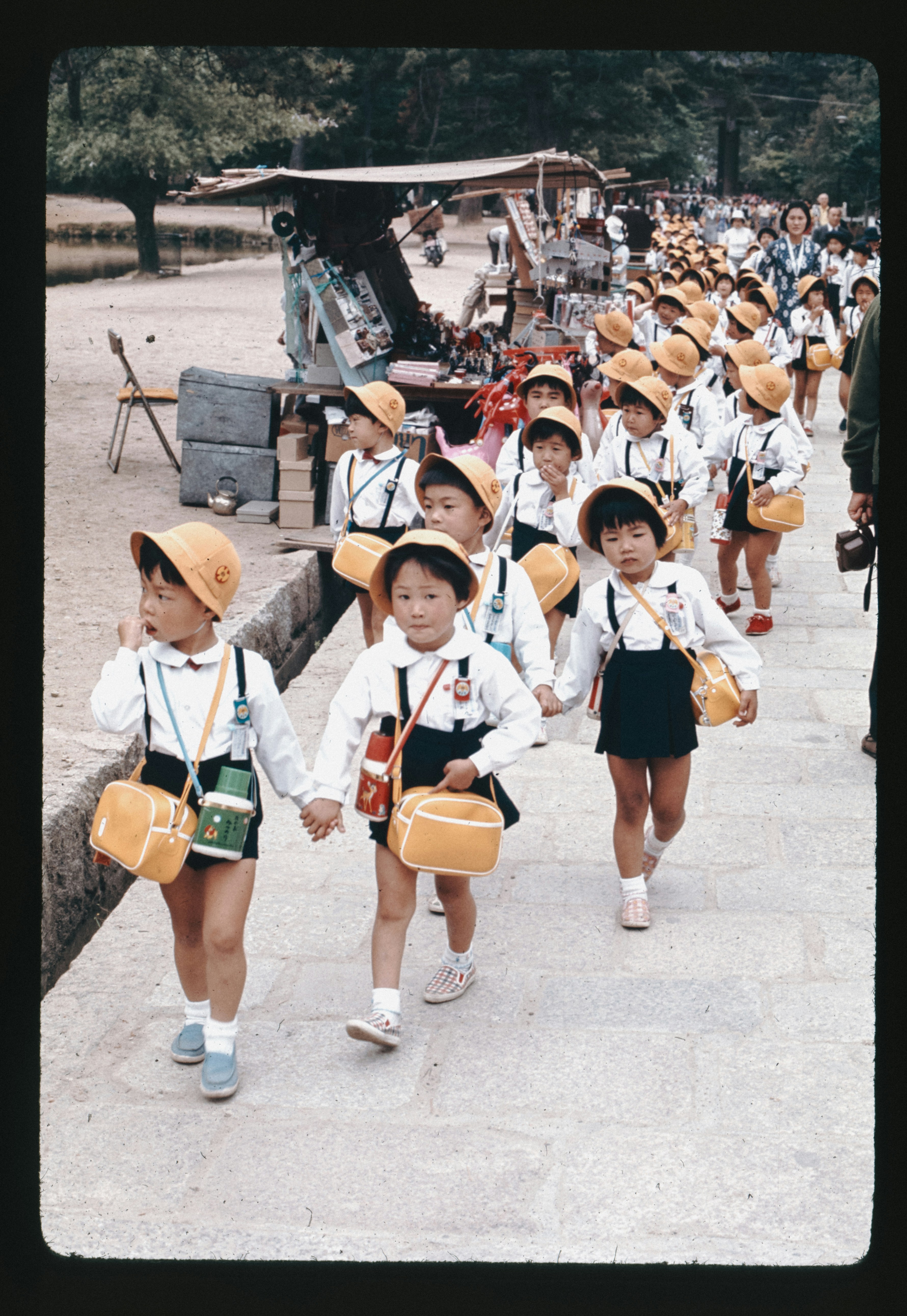 성조숙증 검사비용
