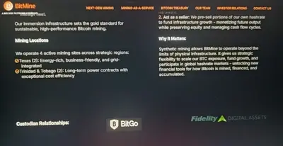 Bitmine-Immersion-Website