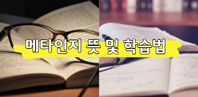 메타인지 뜻 및 학습법 알아보기 (체크리스트 확인)