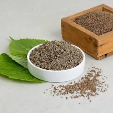 들깨 파종 시기, 이대로만 하면 풍성한 수확!