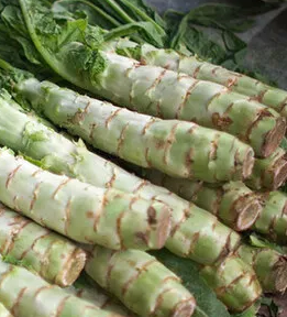 궁채 효능 부작용 나물 고르는법 칼로리