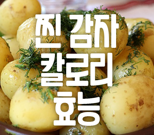찐감자 칼로리 효능