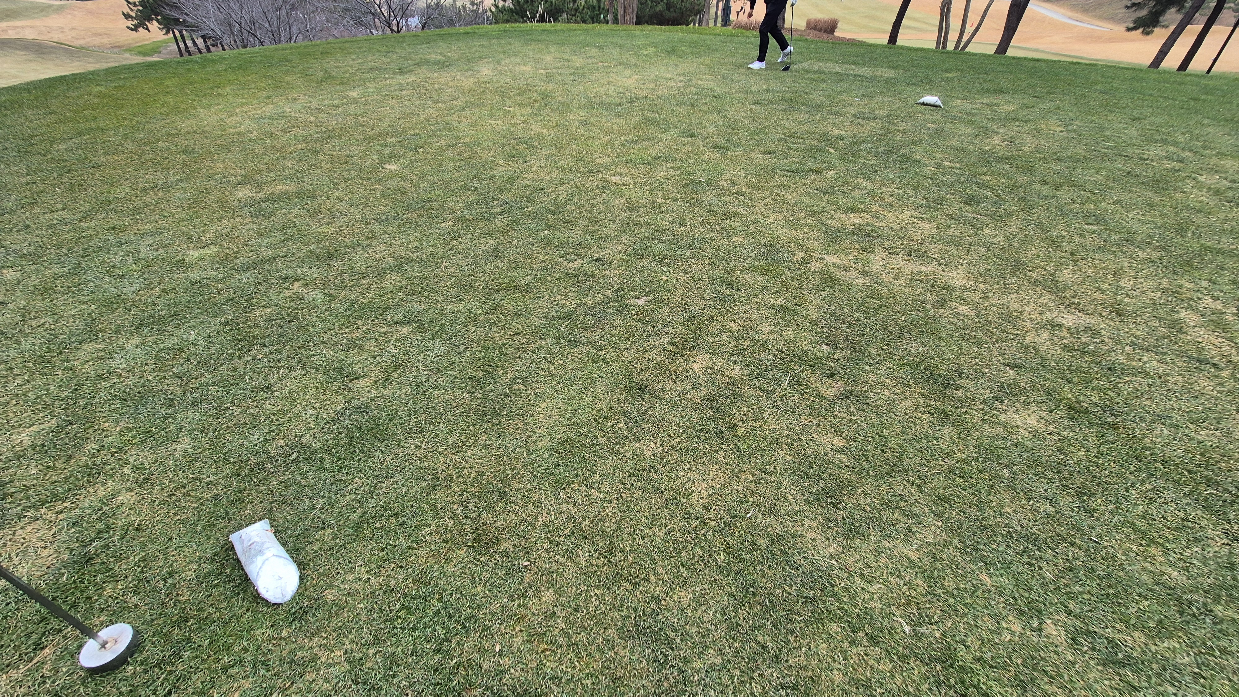 더헤븐cc 사우스-웨스트 코스 티잉구역 상태