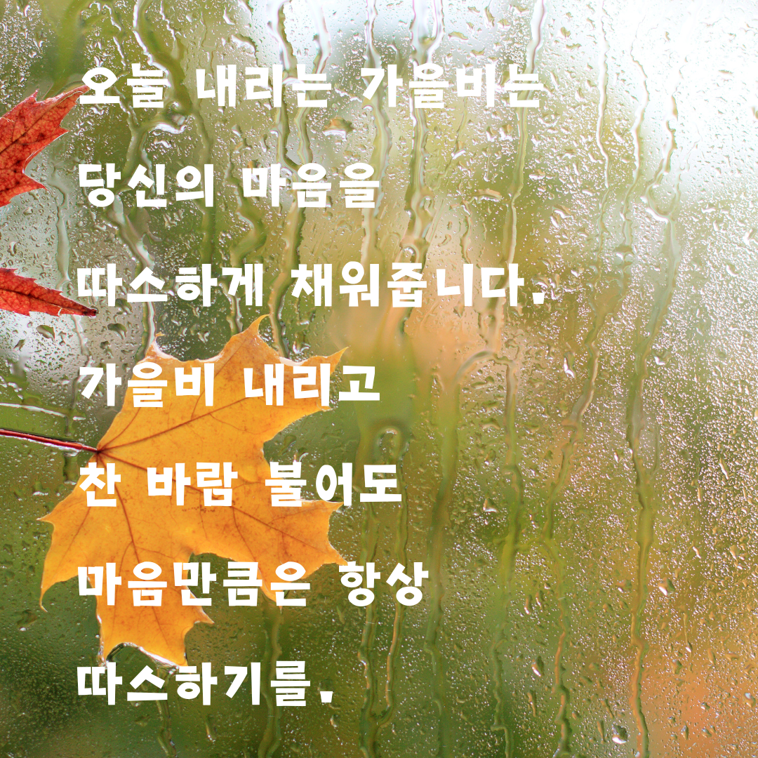 가을비 내리는 날 인사말 이미지 문구 모음