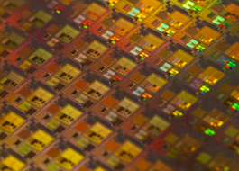 2025년 삼성전자 배당금 지급일 기준일 주가 전망