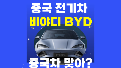 중국 비야디 전기차