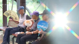 땡볕 노출 시간 그늘 이동 양산 사용 보행 요령_12