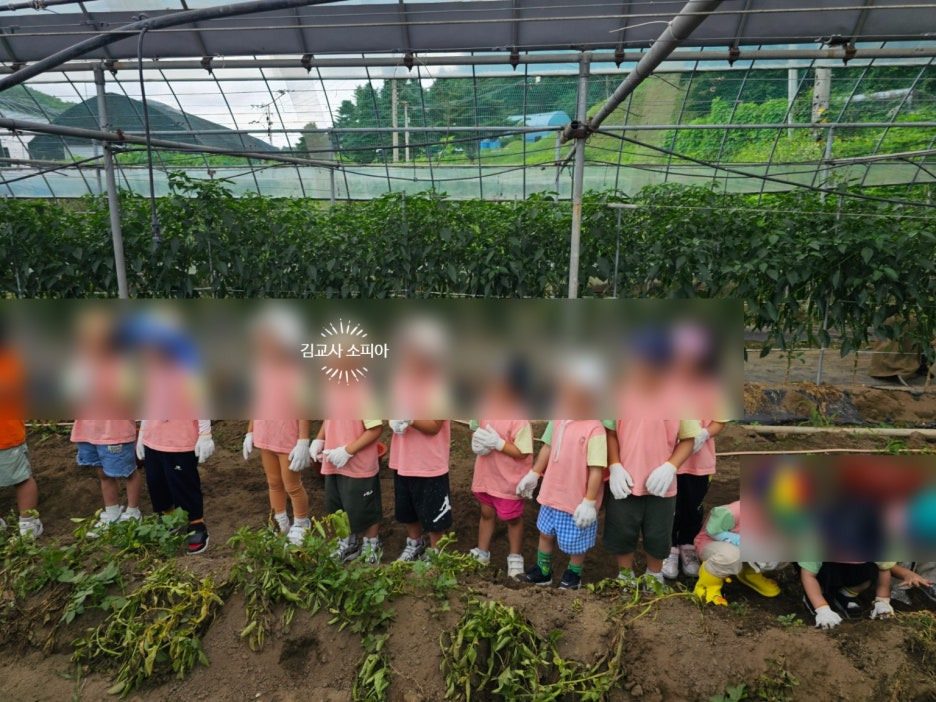 "아이랑 감자 수확 체험 가봤더니… 놓치면 아쉬운 준비물 까지 총정리!"