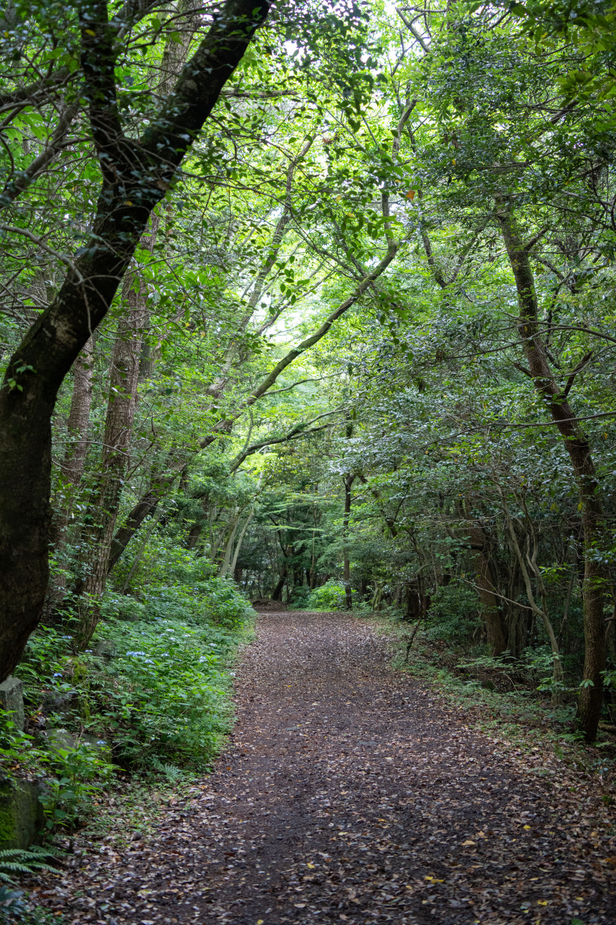 이승악 오름 탐방로