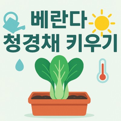 청경채 키우기｜씨앗 발아·물주기·병해충·수확 달력 사진