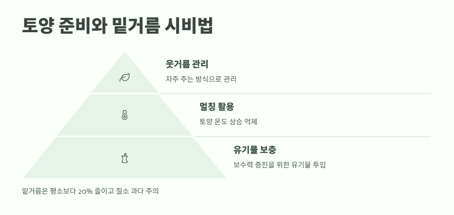 6월에 심는 밭작물 ❘ 늦은 여름까지 수확하는 비법 6