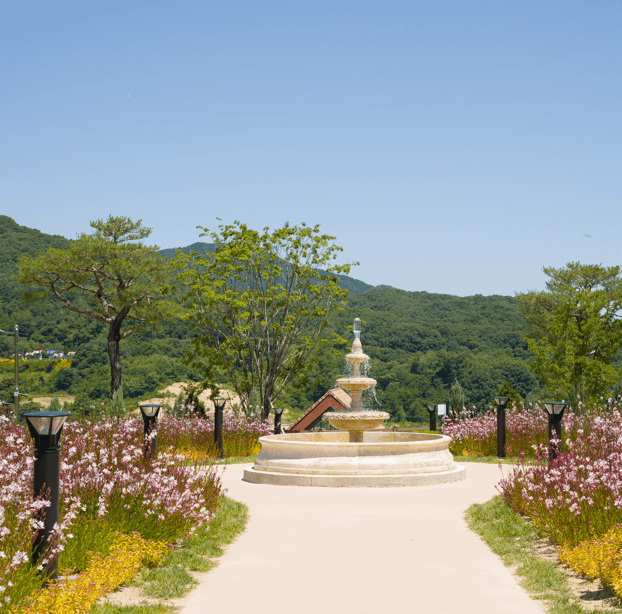 용인 자작나무숲 봄꽃축제