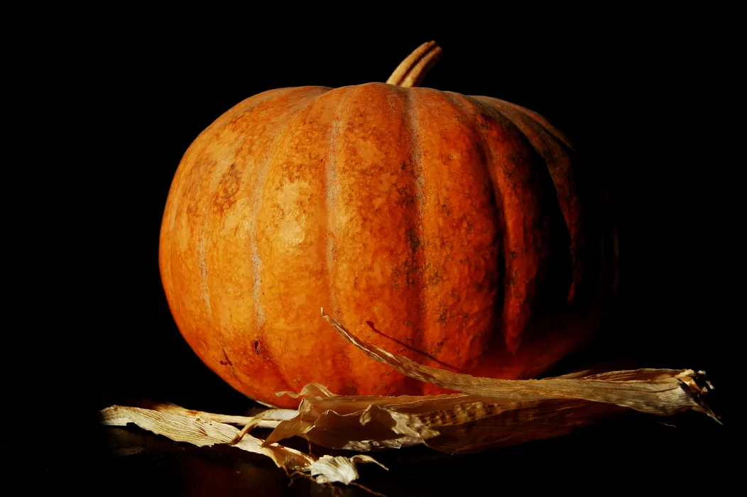 주황색-늙은-호박
