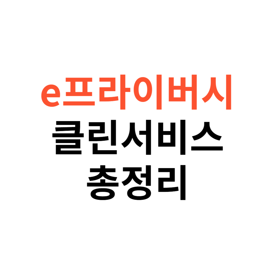 e프라이버시 클린서비스