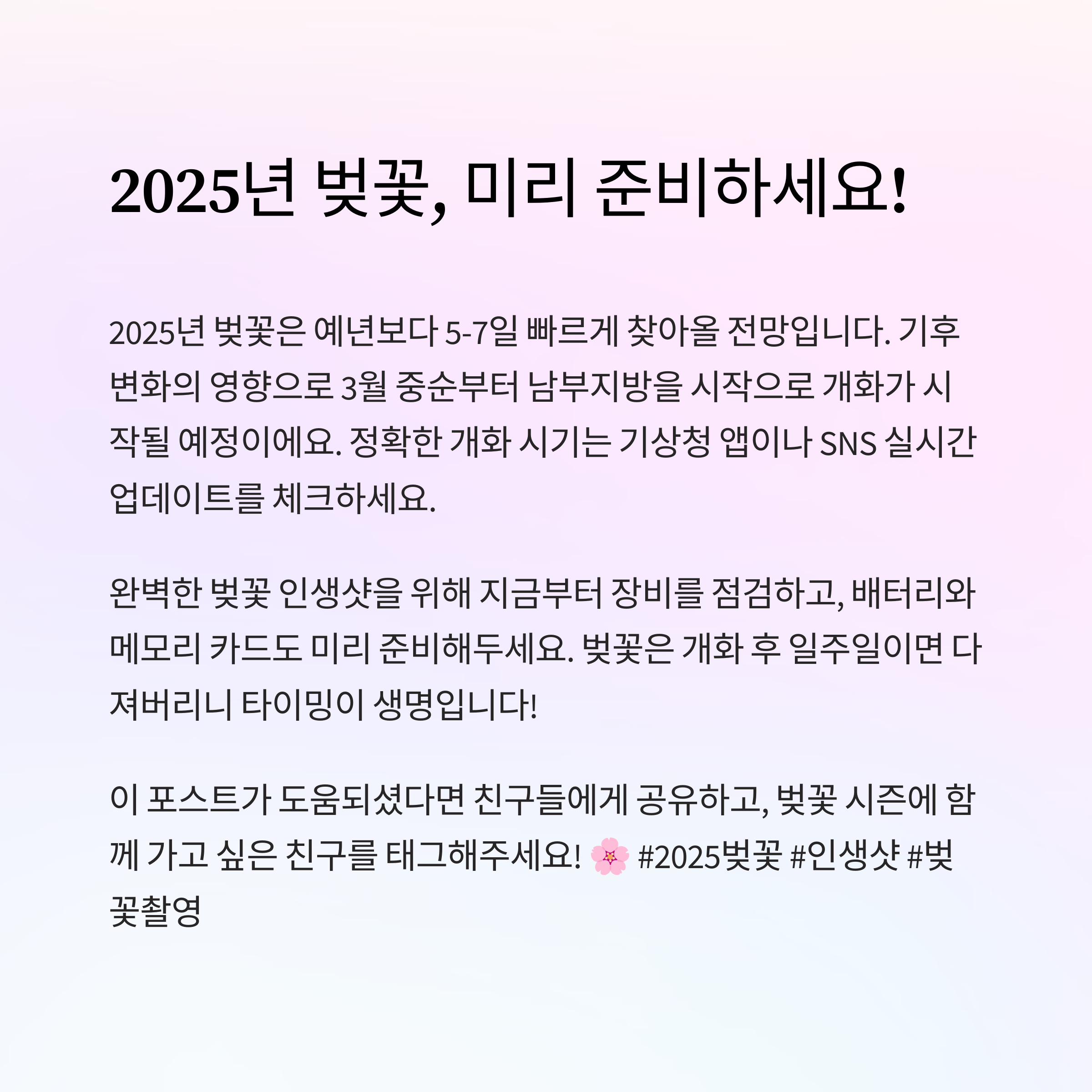 2025년 벚꽂사진 설정 미리 준비하세요