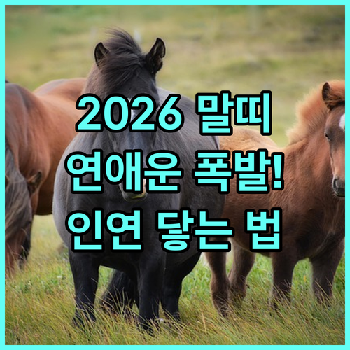 2026년 병오년 말띠 연애운 정보 ..