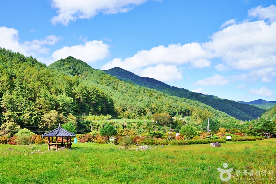 영양 가볼만한곳 베스트10