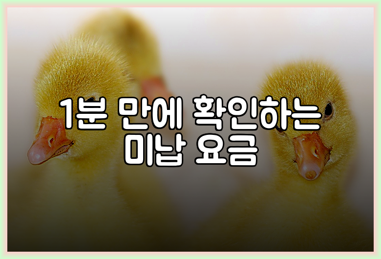 1분 만에 확인하는 미납 요금