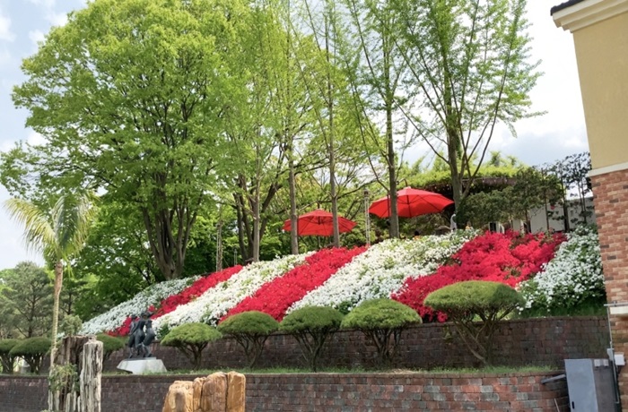 베어트리파크 철쭉제 '봄과 철쭉' (출처:한국관광공사)
