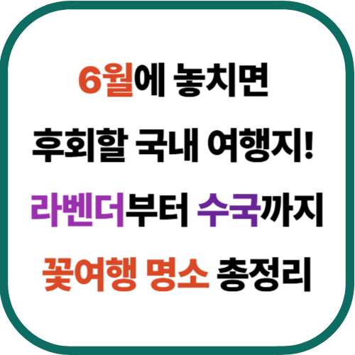6월에 놓치면 후회할 국내 여행지! 라벤더부터 수국까지 꽃여행 명소 총정리