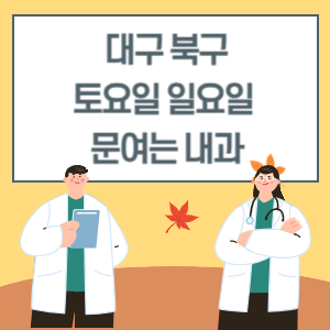 대구 북구 토요일 일요일 내과 진료 문여는 병원 리스트